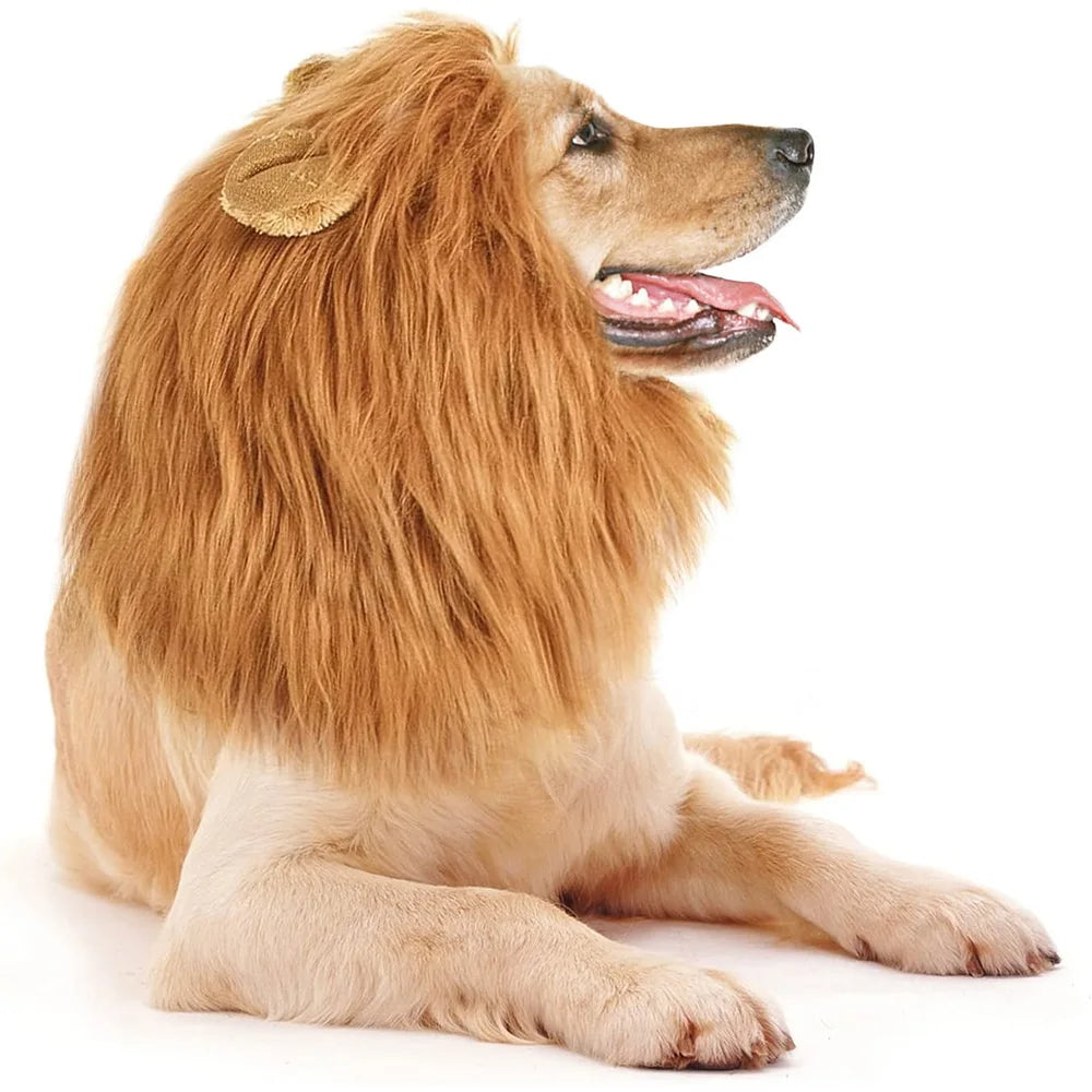 Lion Mane Wig for Dogs – Hilarious Costume