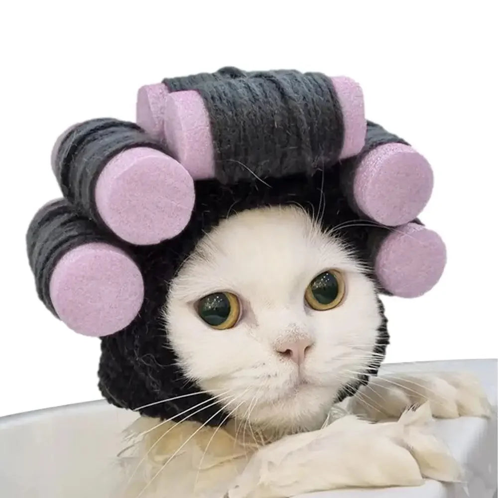 Funny Party Hat for Dogs & Cats.