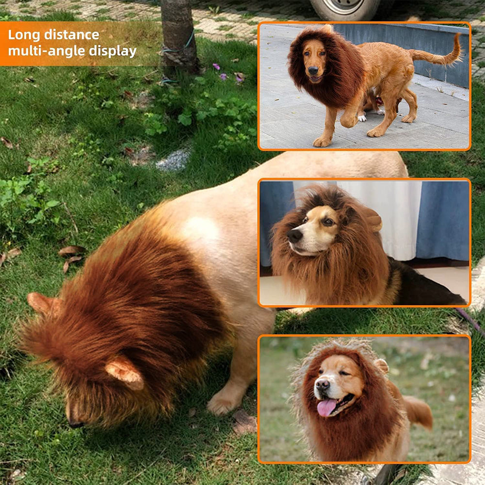 Lion Mane Wig for Dogs – Hilarious Costume