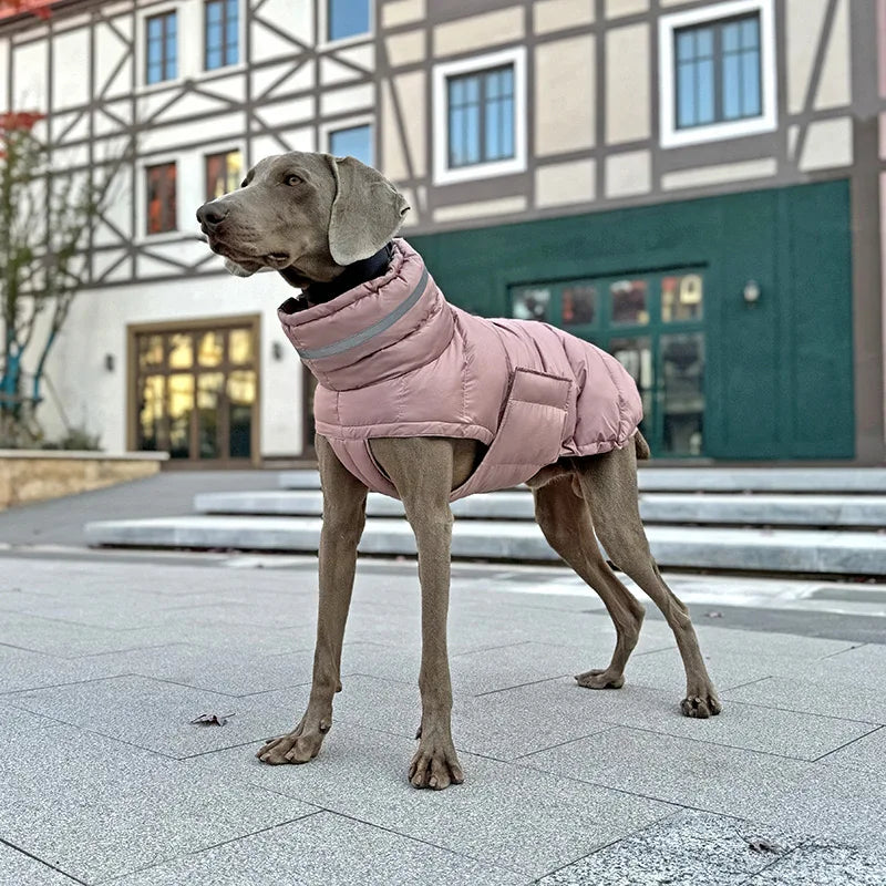 Keep your dog warm this winter with a Waterproof, Fleece Vest. Thickened material for real warmth.