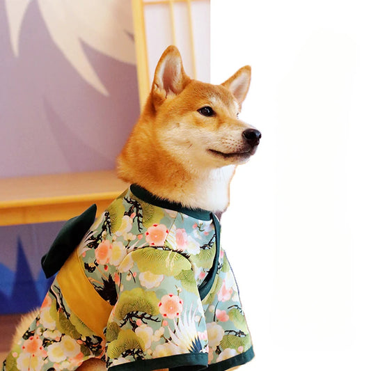 Your mate will be the most stylish resident in your street with this high quality, Japanese Kimono Dog Costume.  Comes in a wide range colours and of sizes.