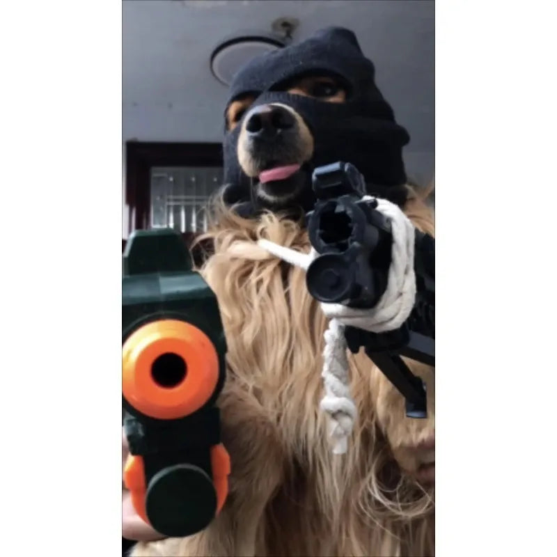 It's a stick-up.  Funny bandit Ski Mask for Dogs