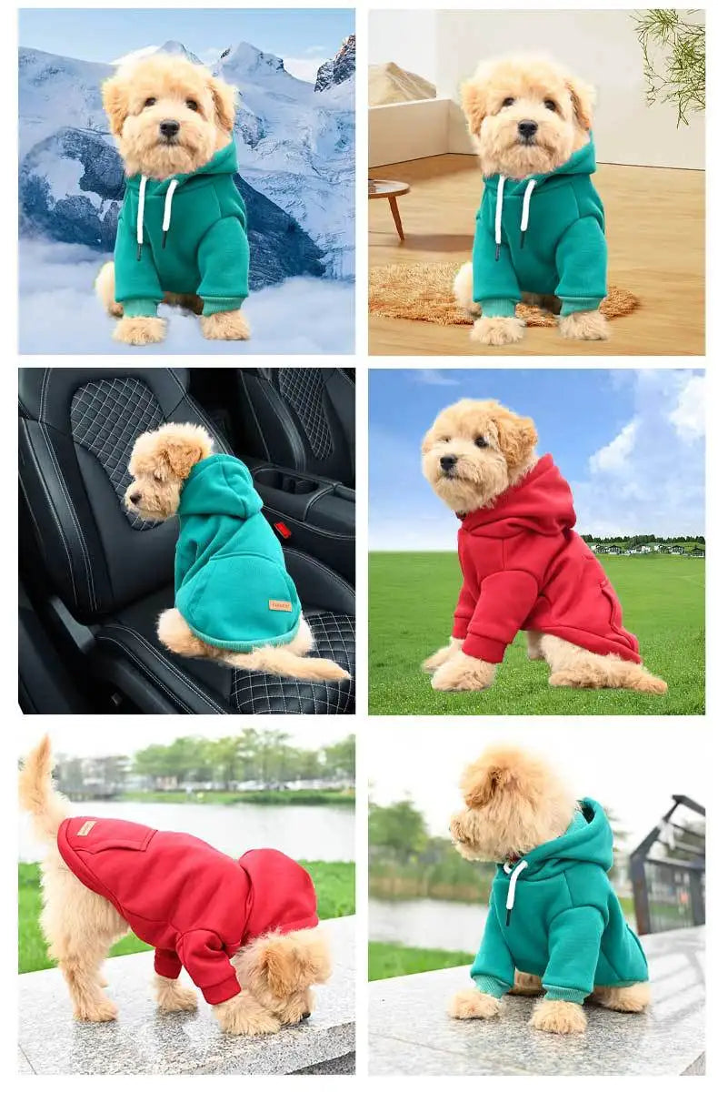 Doggo Hoodies, for your Gym buddy.  Keep your best mate warm whilst looking the business.