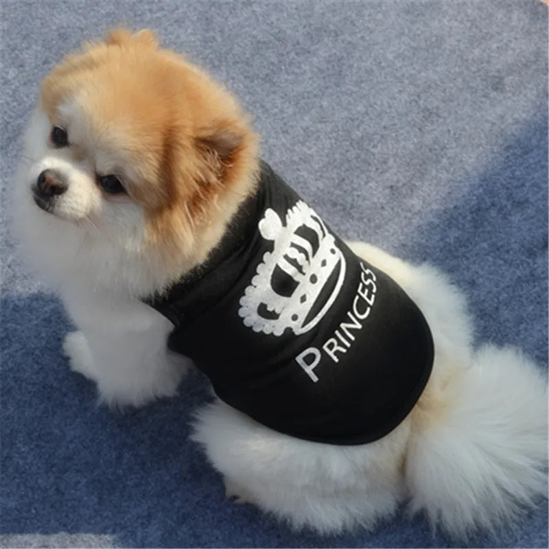 Funny Security Clothing for Dogs.  Various colours