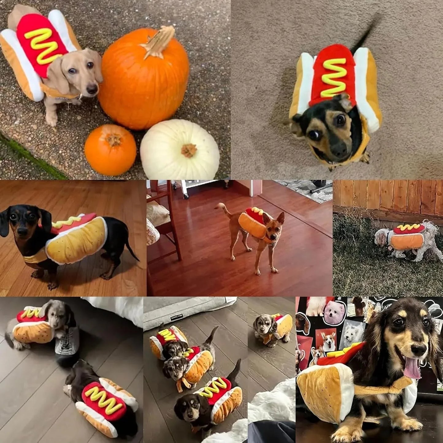 Funny Hot Dog Shaped Costume Suit