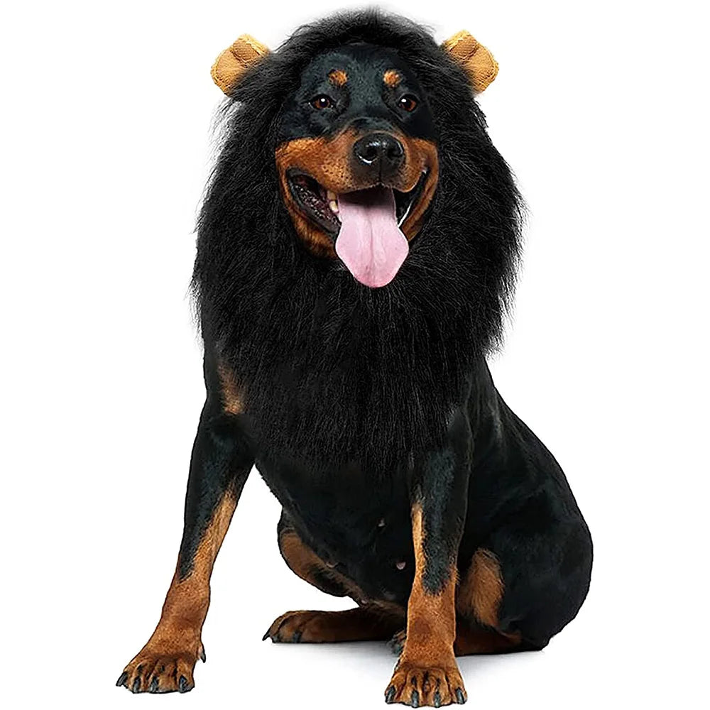 Lion Mane Wig for Dogs – Hilarious Costume
