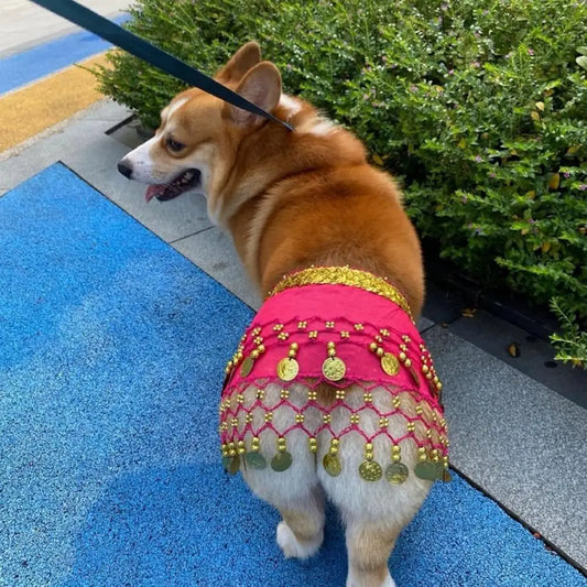 Pet Belly Dance Butt Curtain Costume.  For the dog that likes to shake that thing.