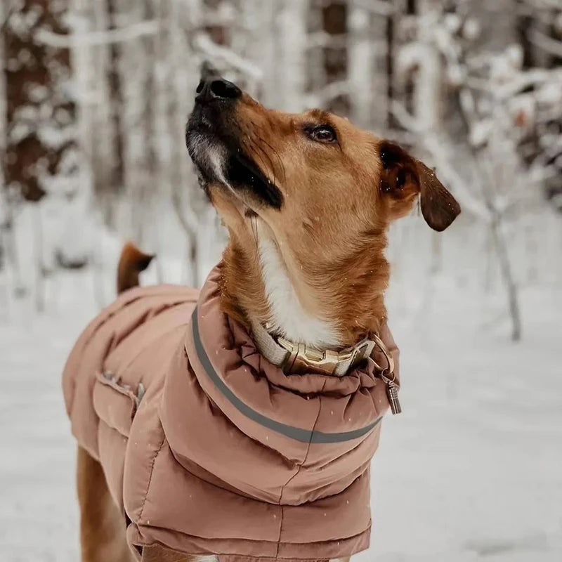 Keep your dog warm this winter with a Waterproof, Fleece Vest. Thickened material for real warmth.