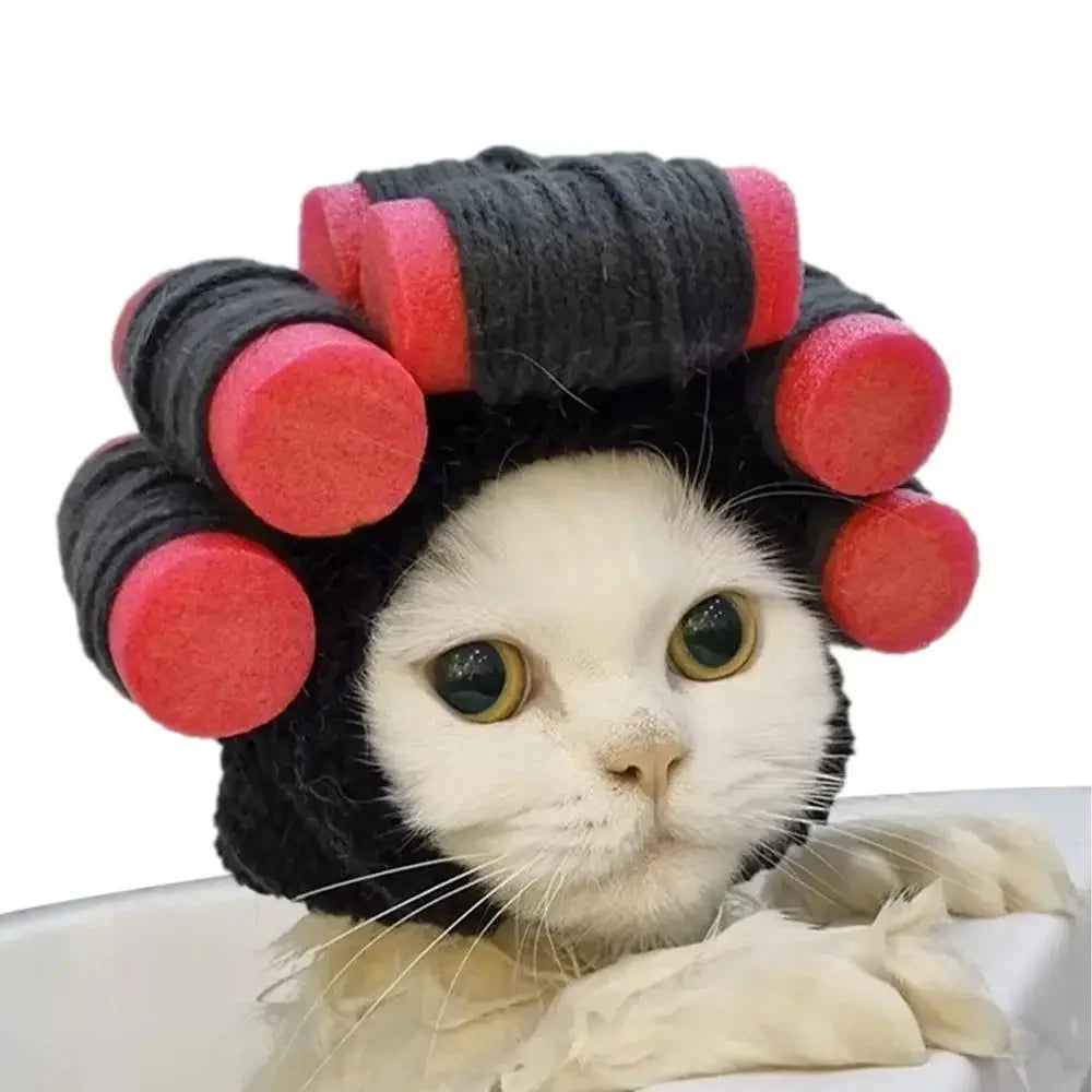 Funny Party Hat for Dogs & Cats.