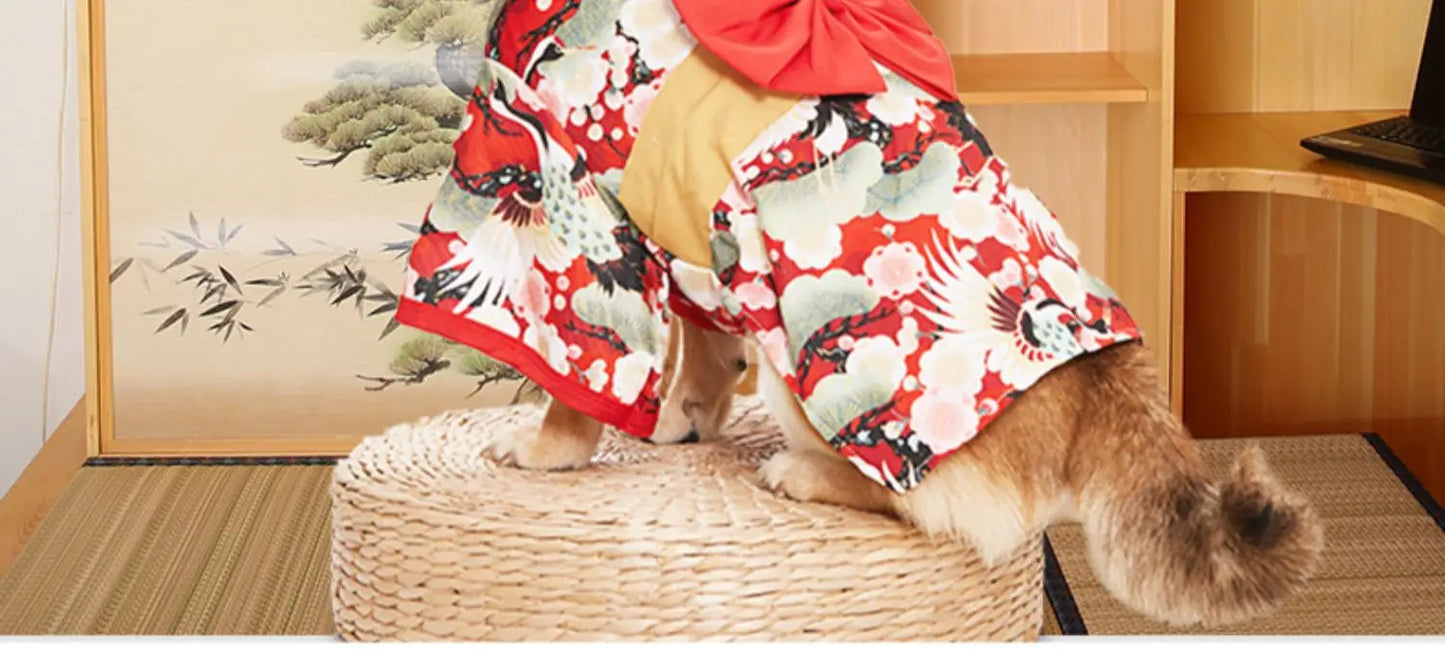 Your mate will be the most stylish resident in your street with this high quality, Japanese Kimono Dog Costume.  Comes in a wide range colours and of sizes.