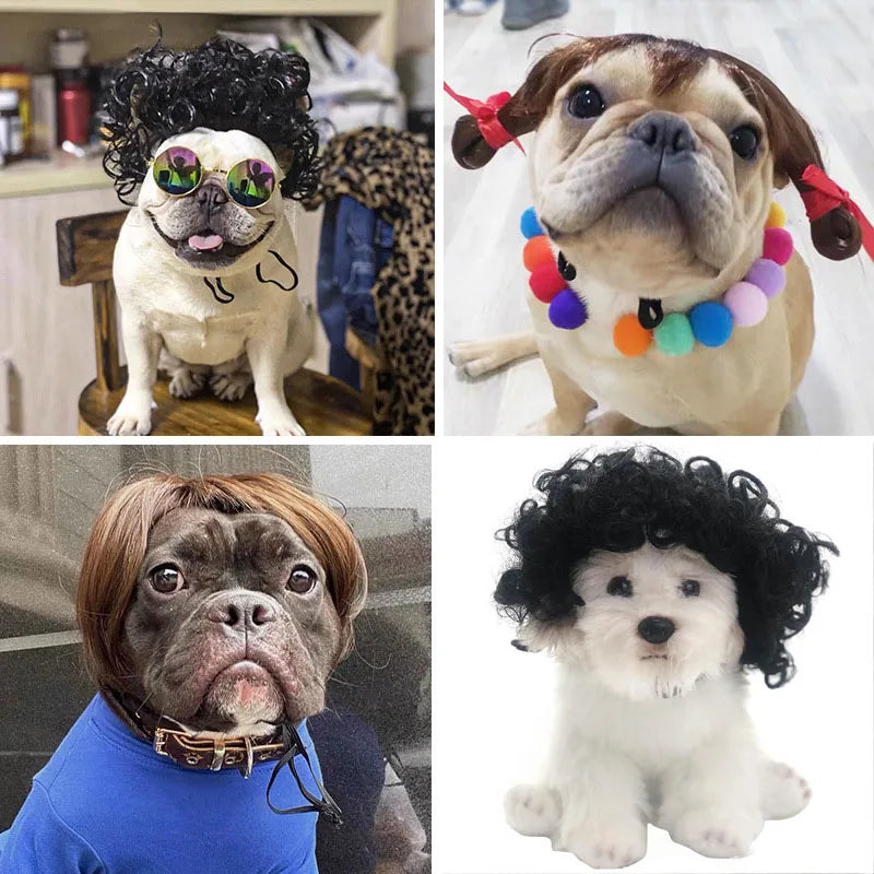 Pet Wigs, Dog & Cat Cross-Dressing Hair Set