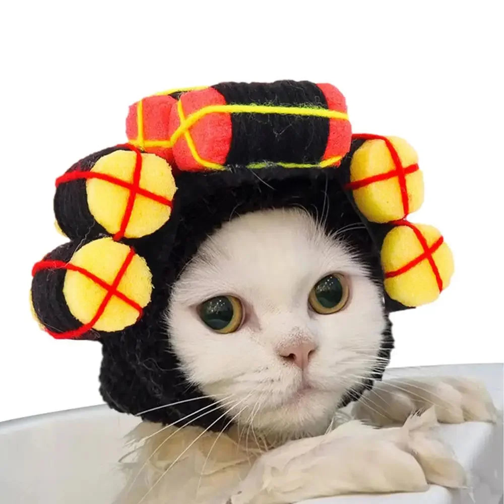 Funny Party Hat for Dogs & Cats.