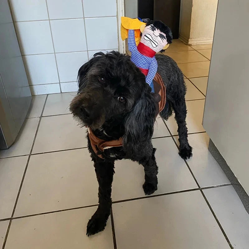 Funny Dress Up Bull (Dog) rider Costume