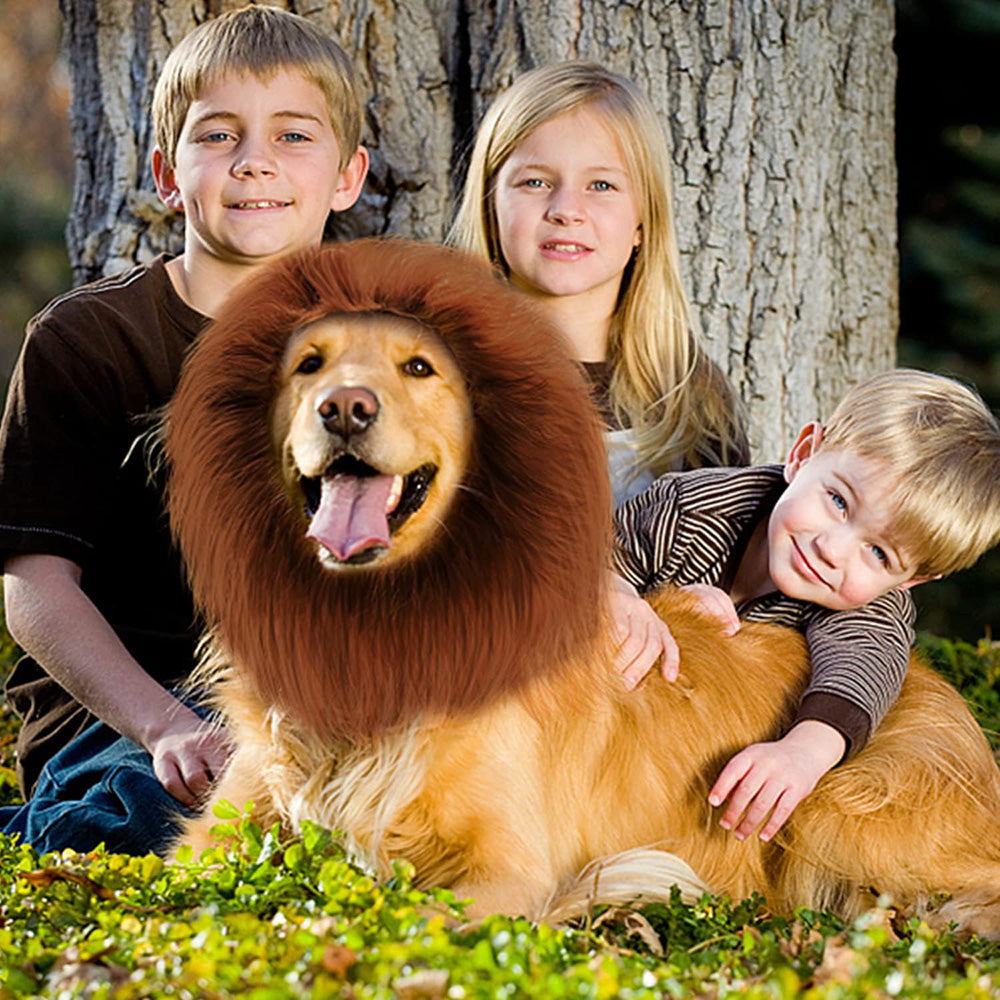 Lion Mane Wig for Dogs – Hilarious Costume
