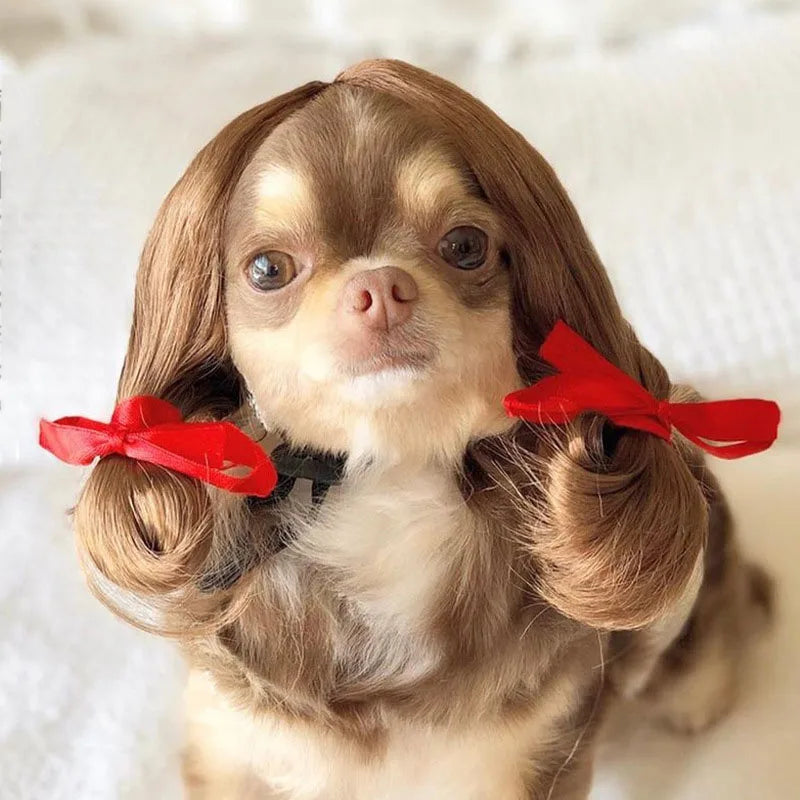 Pet Wigs, Dog & Cat Cross-Dressing Hair Set