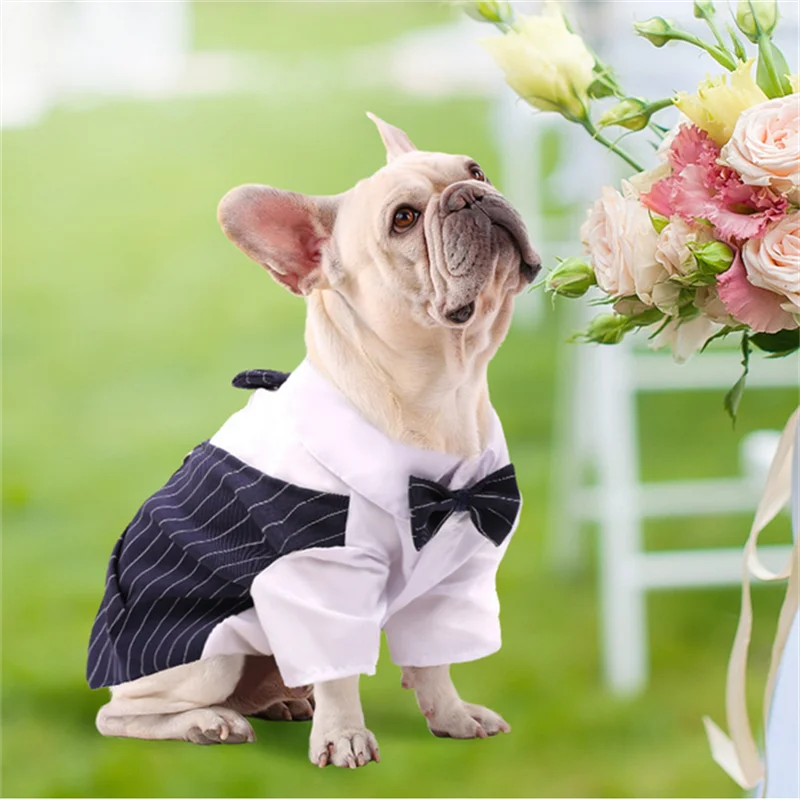 Spiffy Tuxedo Suit Costume for Weddings Birthday Parties and other formal occasions.  Comes 4 colours and 5 sizes.