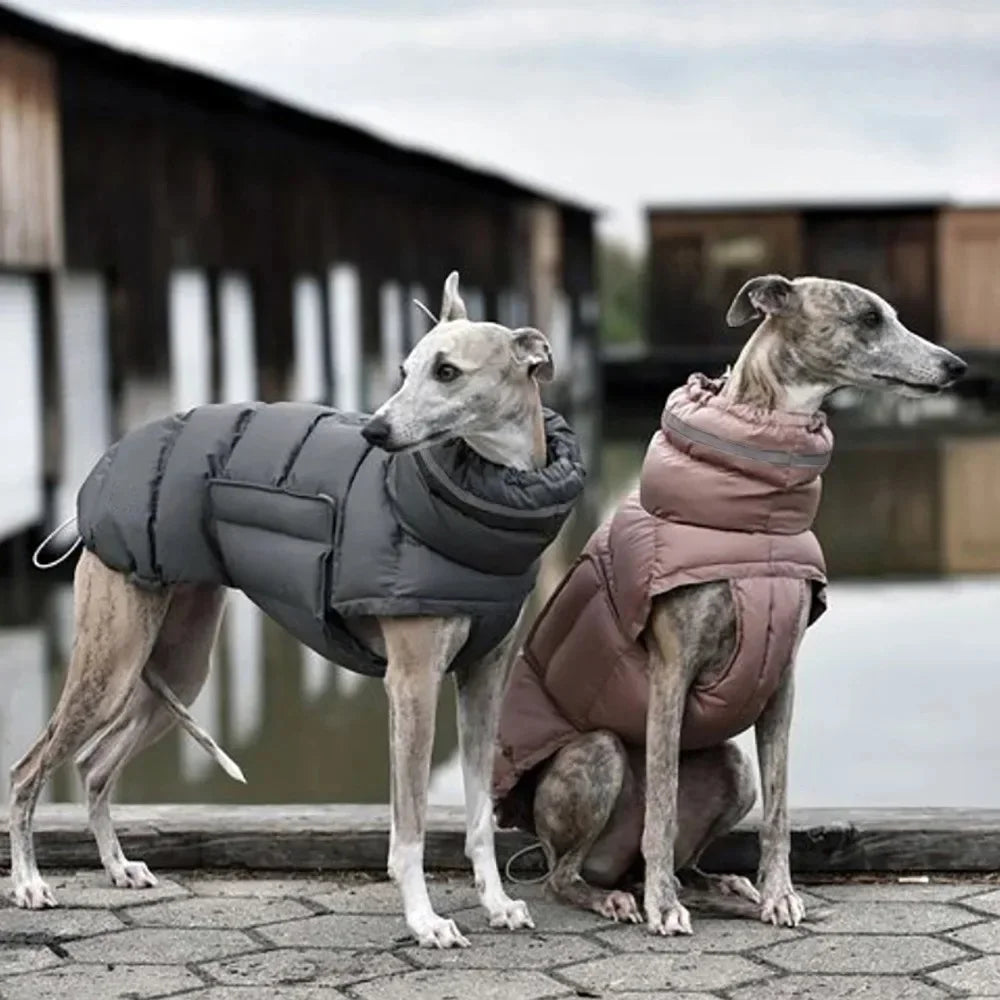 Keep your dog warm this winter with a Waterproof, Fleece Vest. Thickened material for real warmth.