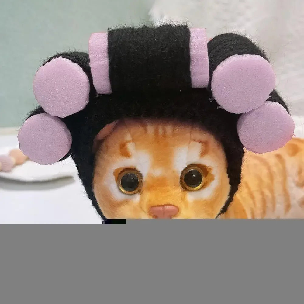 Funny Party Hat for Dogs & Cats.