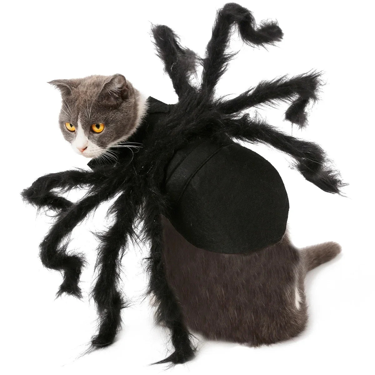 Funny Dog/Cat Spider Costume.  Let your bet loose at parties and wait for the screams