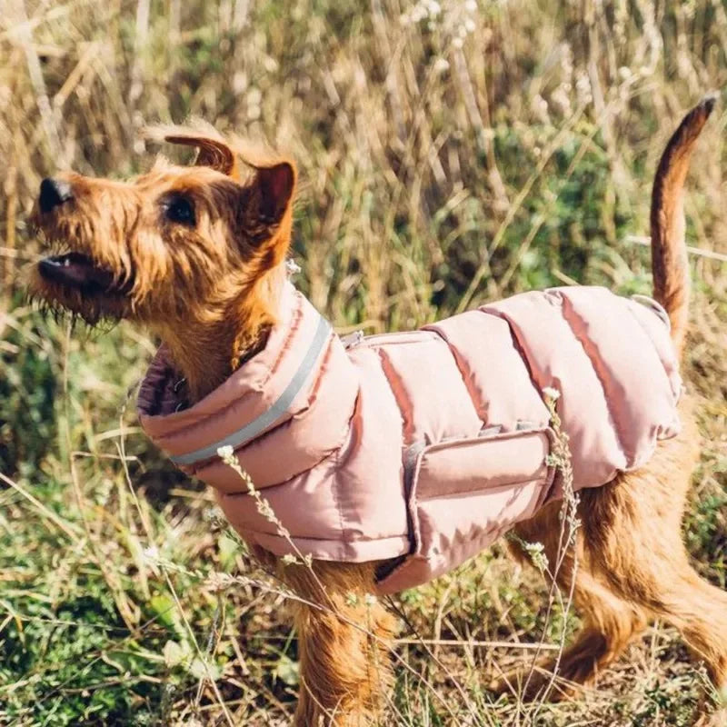 Keep your dog warm this winter with a Waterproof, Fleece Vest. Thickened material for real warmth.