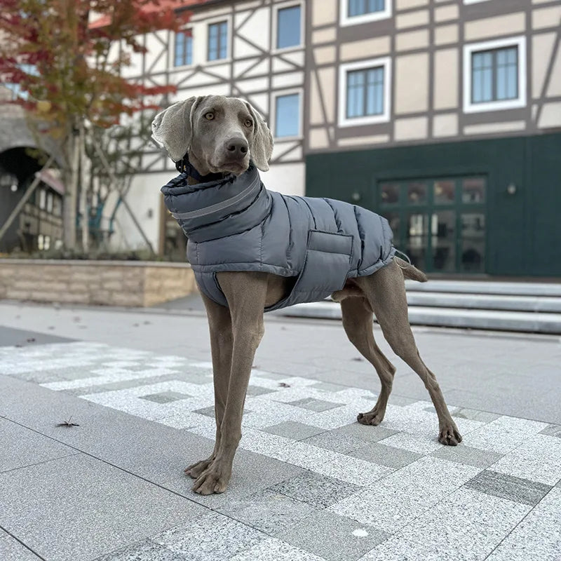 Keep your dog warm this winter with a Waterproof, Fleece Vest. Thickened material for real warmth.