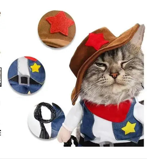 Hilarious dog rider style costumes. A wide range of styles and sizes to choose from.