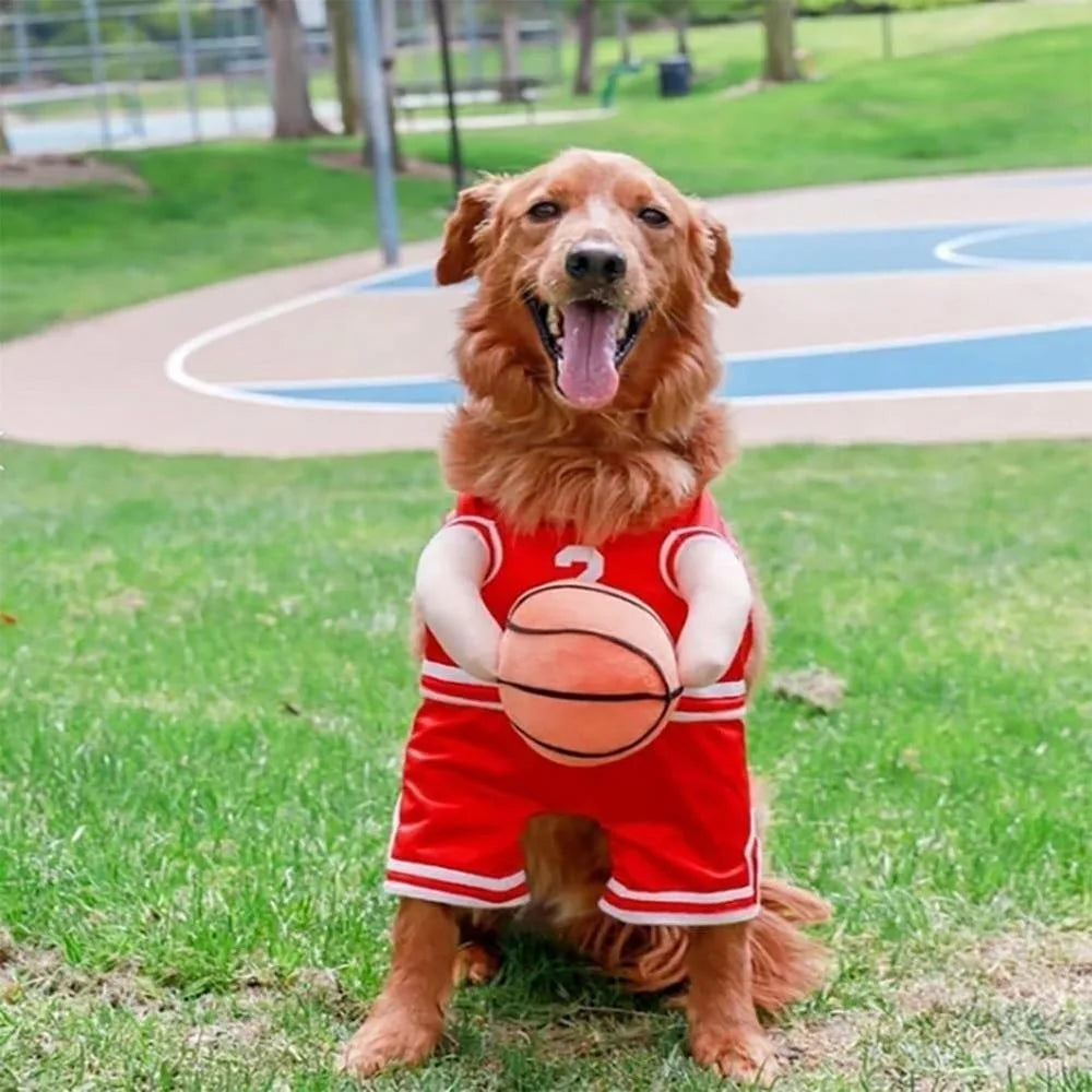 Watch all the second glances you get walking your mate to the café with this Sporting Basketball Costume.  Available for S/M/L dogs.