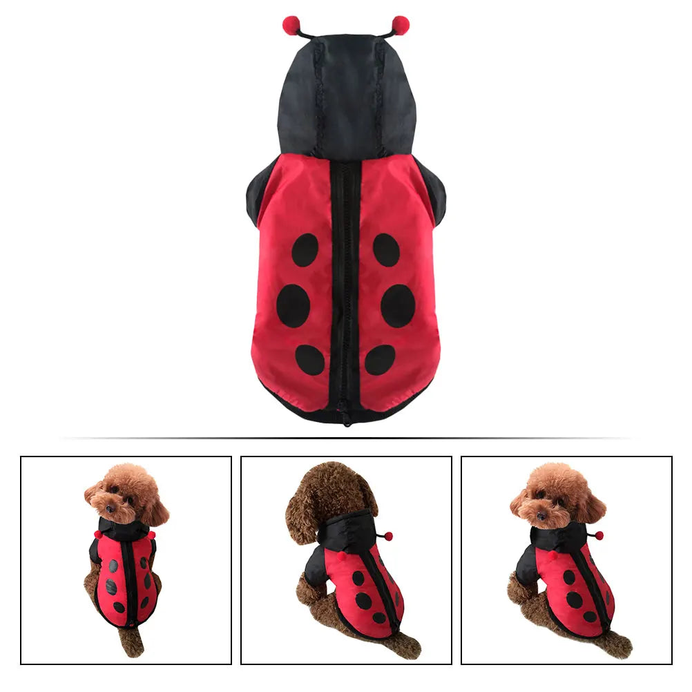 Cute Ladybug Dog Costume - Have the cutest dog in your neighbourhood.