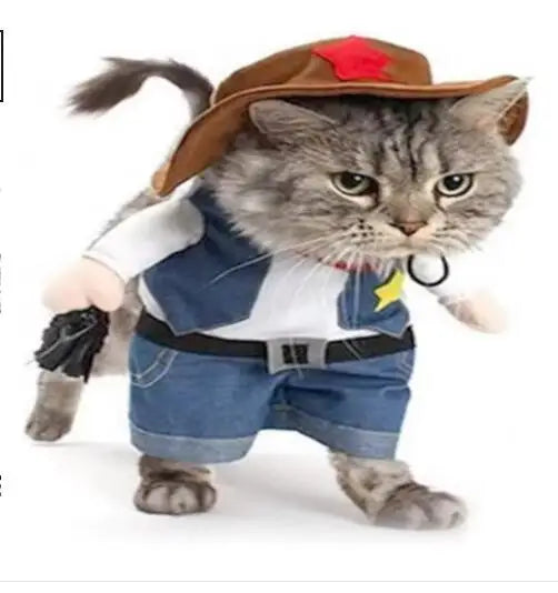 Hilarious dog rider style costumes. A wide range of styles and sizes to choose from.