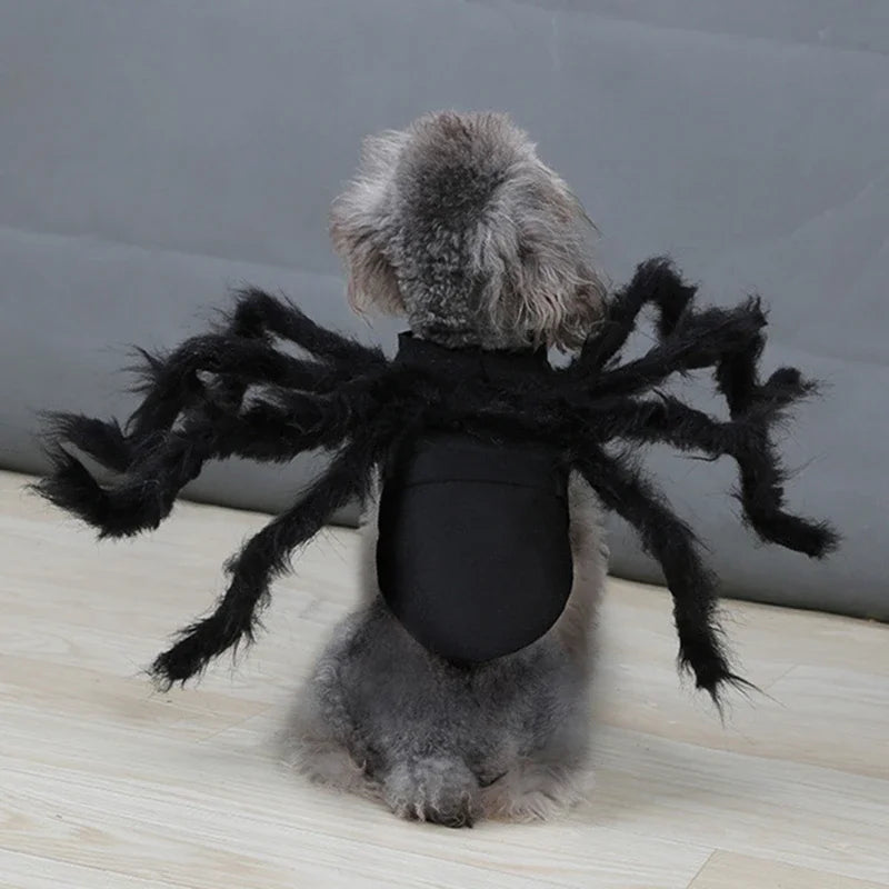 Funny Dog/Cat Spider Costume.  Let your bet loose at parties and wait for the screams
