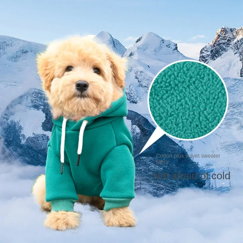 Doggo Hoodies, for your Gym buddy.  Keep your best mate warm whilst looking the business.