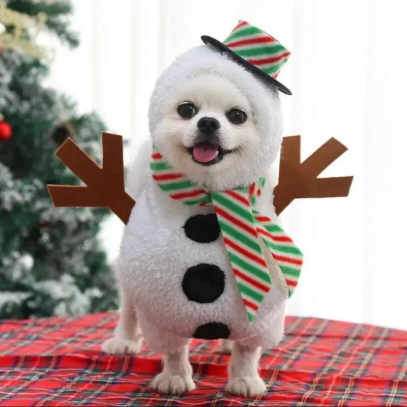 Hilarious dog rider style costumes. A wide range of styles and sizes to choose from.