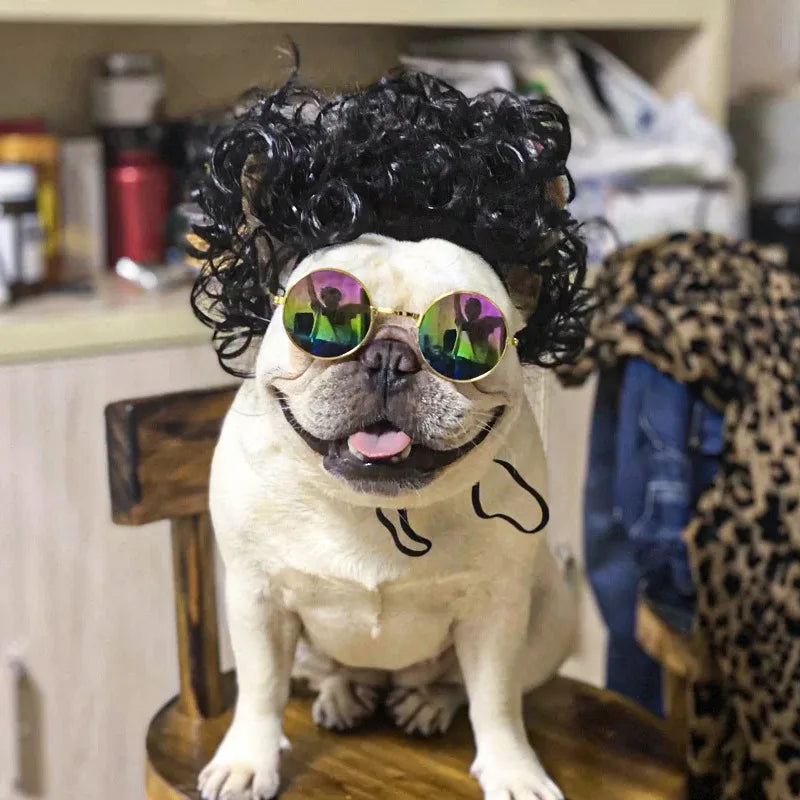 Pet Wigs, Dog & Cat Cross-Dressing Hair Set
