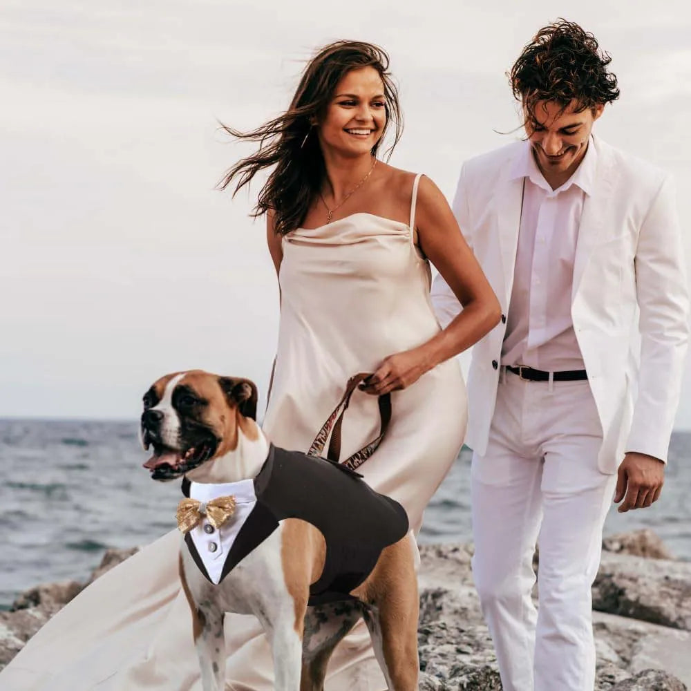 Comfortable Dog Tuxedo for your best mate, with detachable Bow Tie. Time to go out on the town.