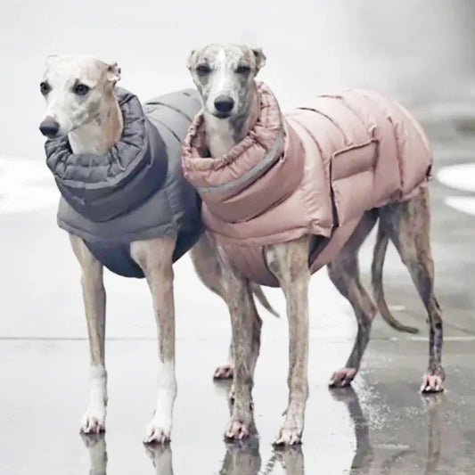 Keep your dog warm this winter with a Waterproof, Fleece Vest. Thickened material for real warmth.