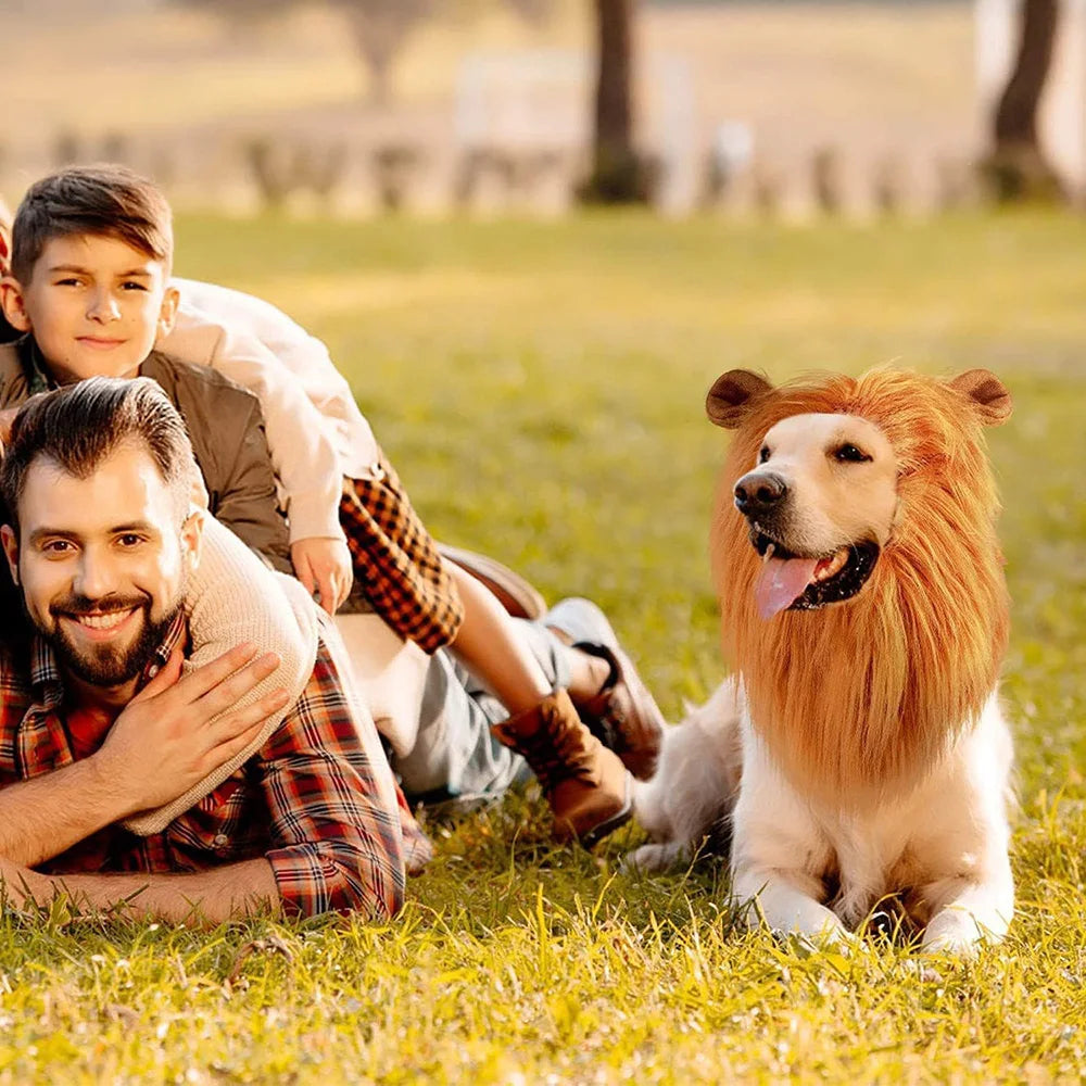Lion Mane Wig for Dogs – Hilarious Costume