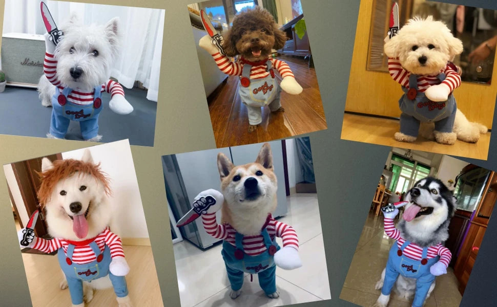 "Run for your lives", will be the call when you you take your dog for a walk wearing this funny Costume Dog Clothes Party Costume.  Available in 4 sizes.
