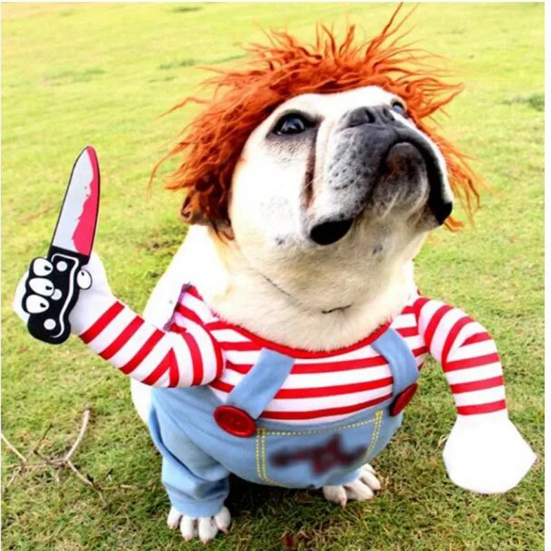 Hilarious dog rider style costumes. A wide range of styles and sizes to choose from.