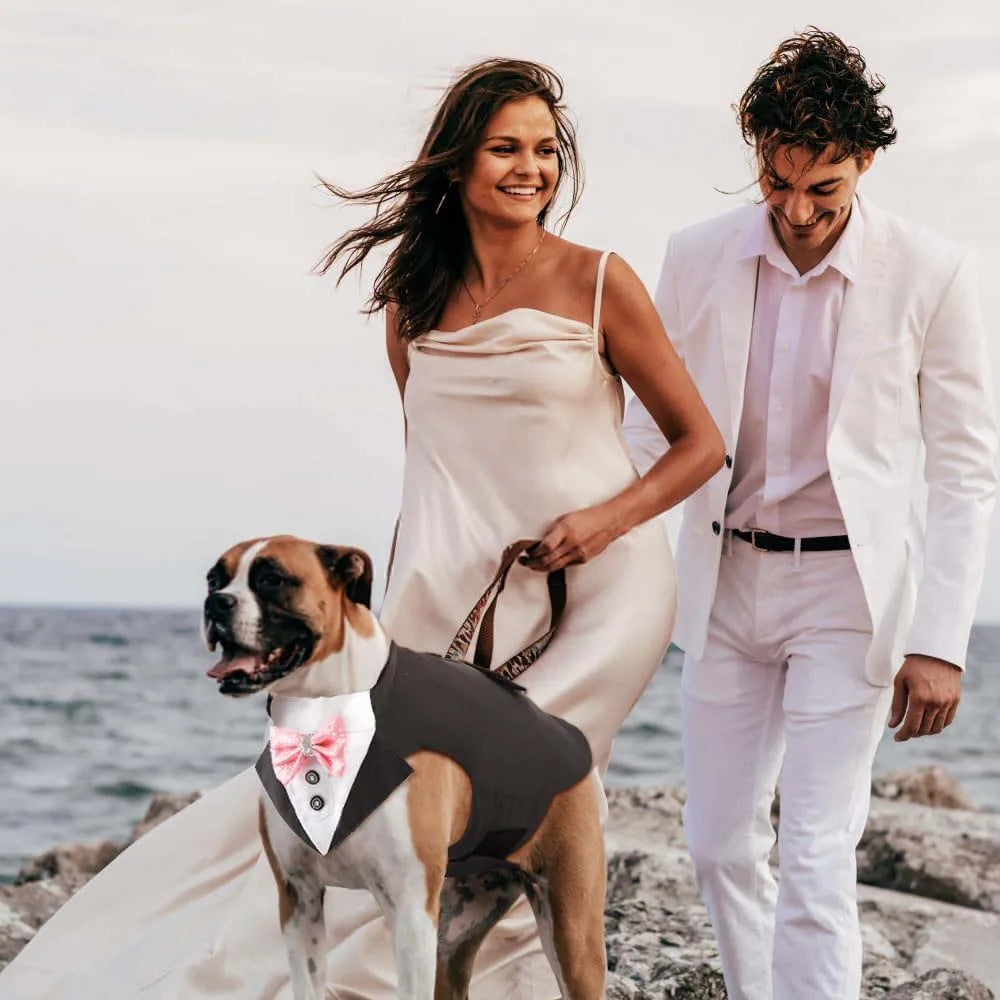 Comfortable Dog Tuxedo for your best mate, with detachable Bow Tie. Time to go out on the town.