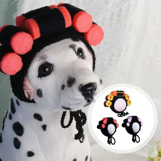 Funny Party Hat for Dogs & Cats.