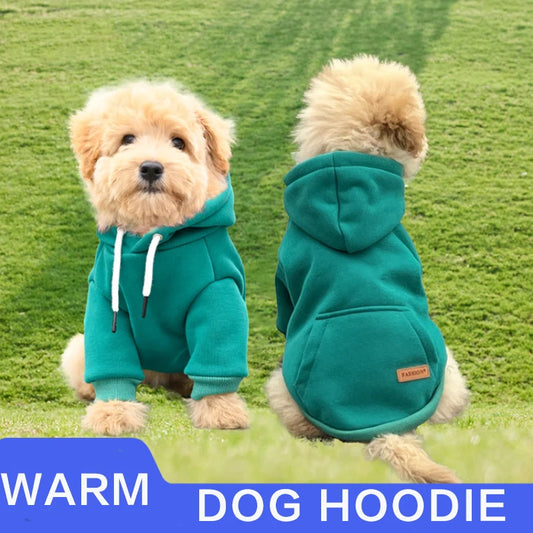 Doggo Hoodies, for your Gym buddy.  Keep your best mate warm whilst looking the business.