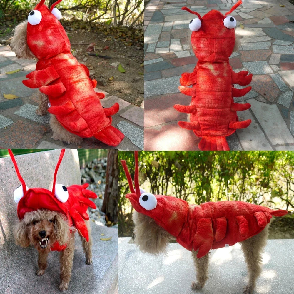 Hilarious Dog Lobster Costume for dogs and cats.