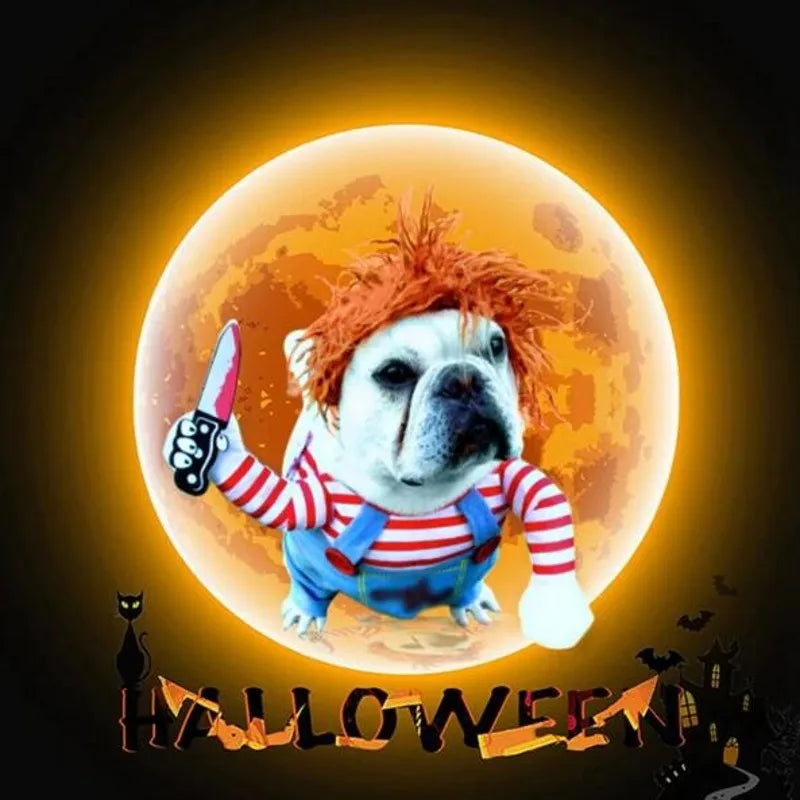Hilarious dog rider style costumes. A wide range of styles and sizes to choose from.