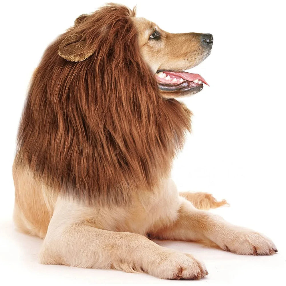 Lion Mane Wig for Dogs – Hilarious Costume
