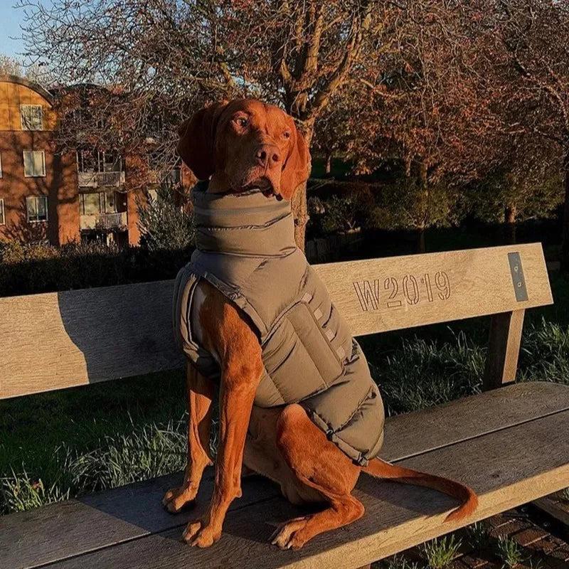 Keep your dog warm this winter with a Waterproof, Fleece Vest. Thickened material for real warmth.