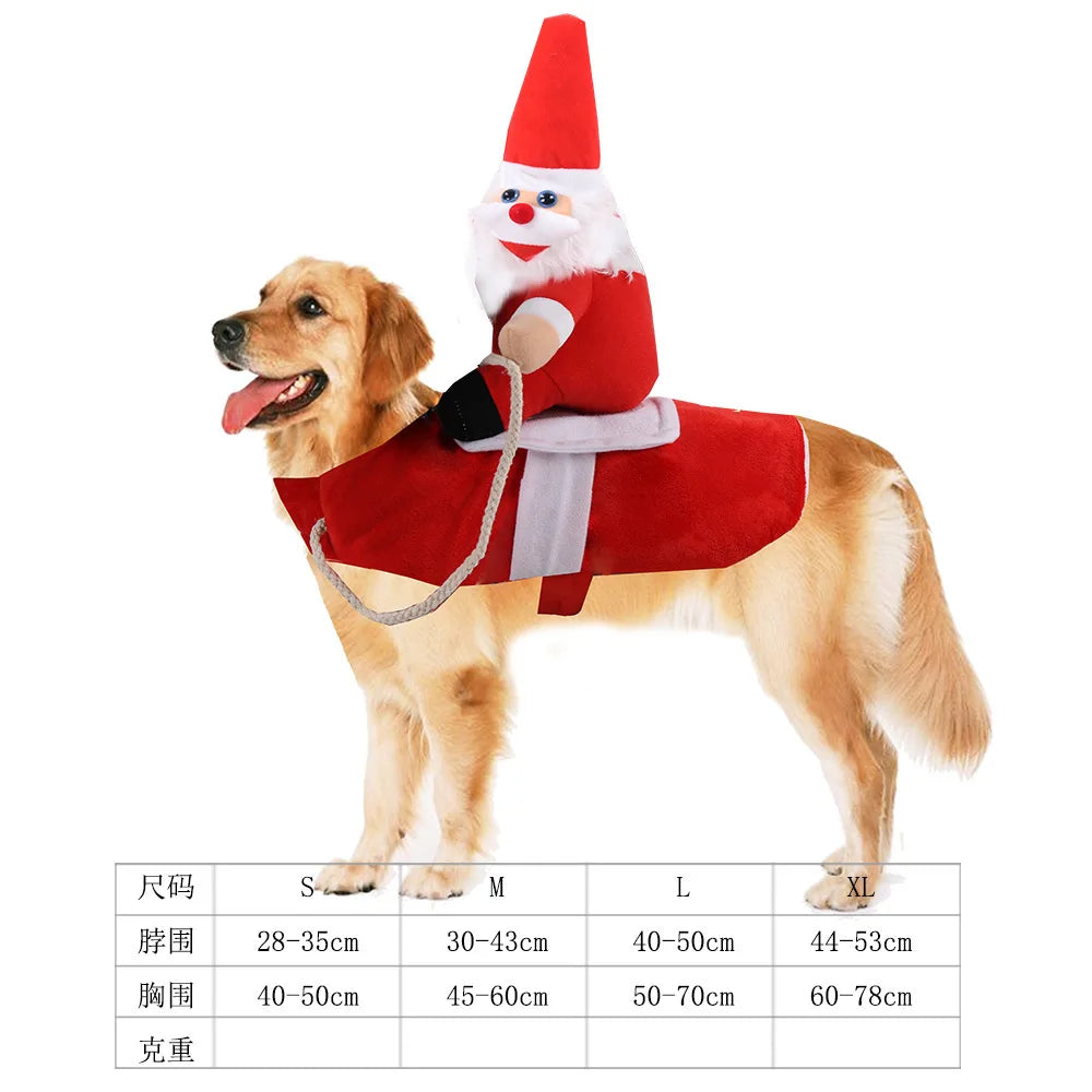 Hilarious dog rider style costumes. A wide range of styles and sizes to choose from.