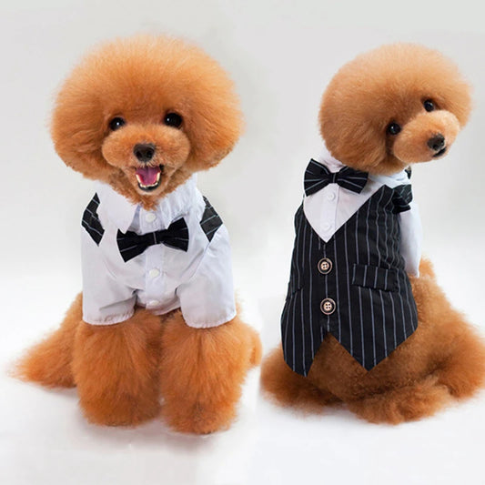 Spiffy Tuxedo Suit Costume for Weddings Birthday Parties and other formal occasions.  Comes 4 colours and 5 sizes.