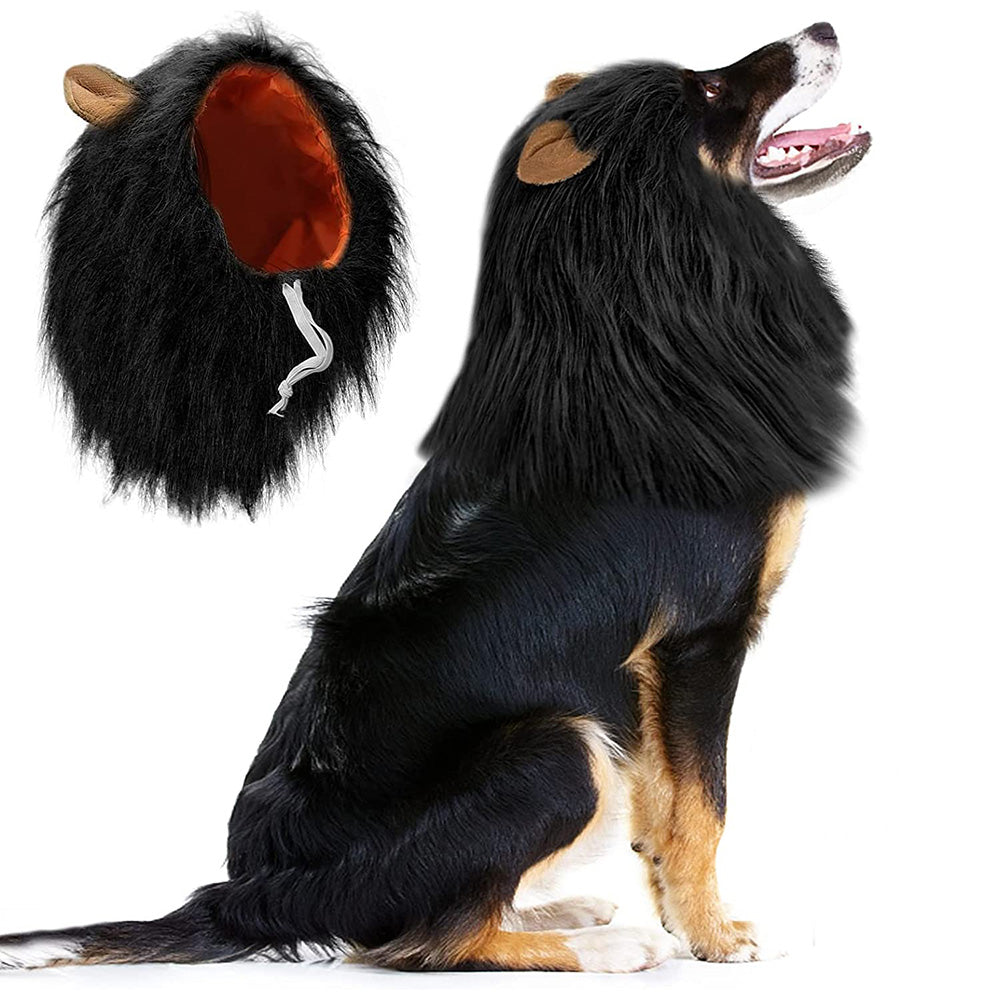 Lion Mane Wig for Dogs – Hilarious Costume