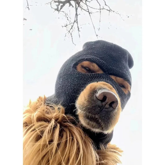 It's a stick-up.  Funny bandit Ski Mask for Dogs